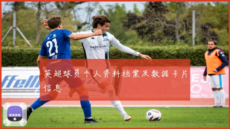 英超球员个人资料档案及数据卡片信息