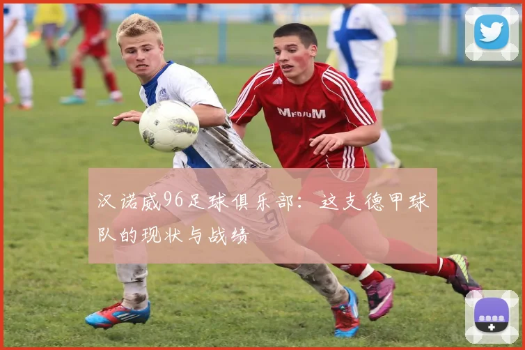 汉诺威96足球俱乐部：这支德甲球队的现状与战绩