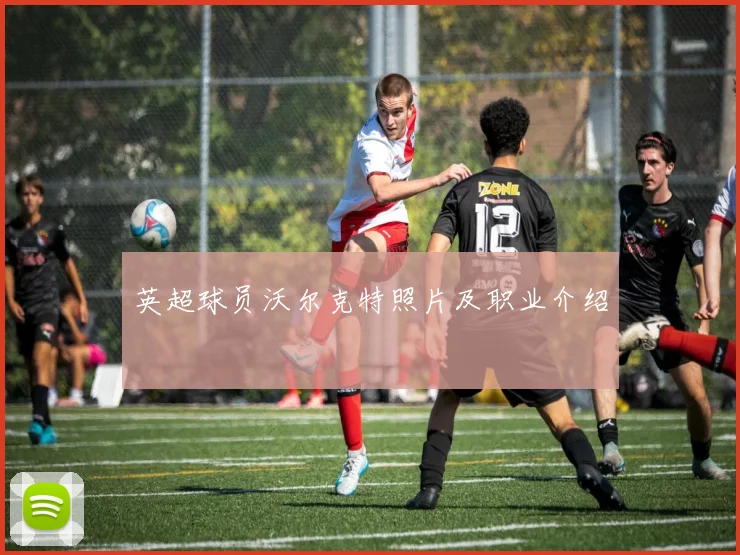 英超球员沃尔克特照片及职业介绍