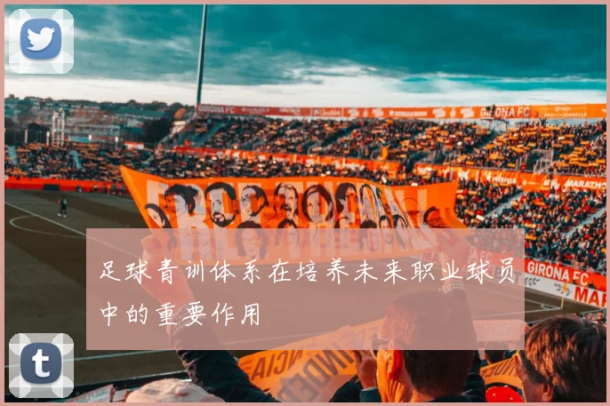 足球青训体系在培养未来职业球员中的重要作用